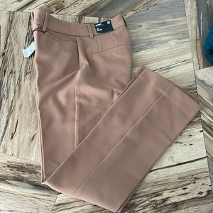 Express dress pant